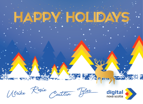 Happy Holidays from DNS!