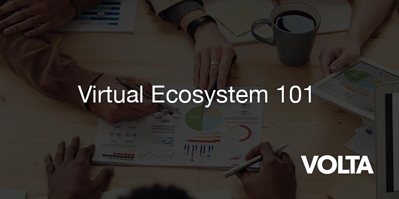 Virtual Ecosystem 101