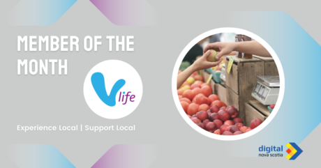 Growing Local Prosperity: vLife