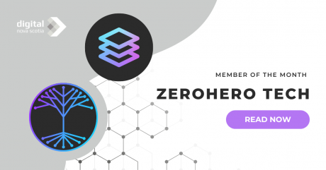 Building a Strong SEO: Zerohero Tech