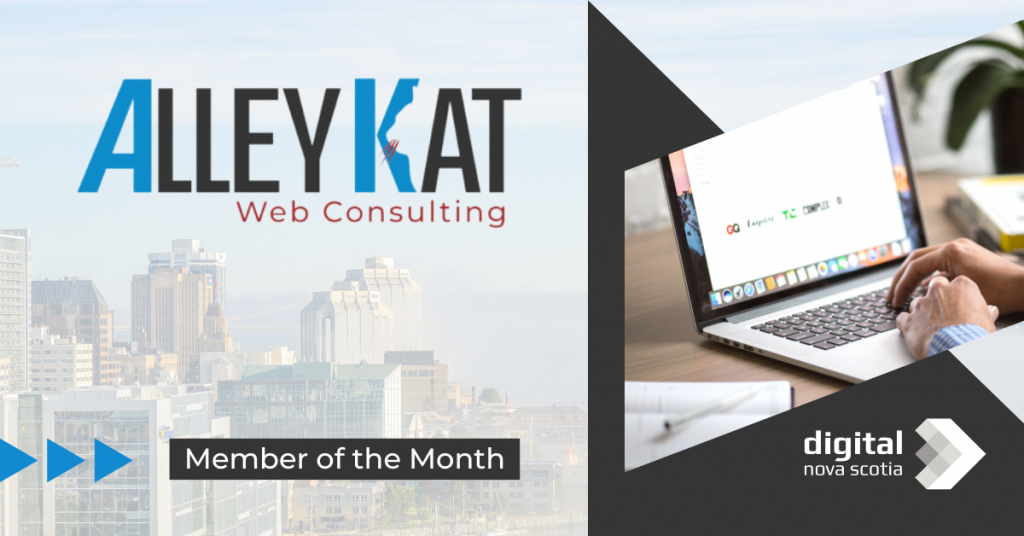 Alley Kat Web Consulting: Placing Expertise in Your Corner