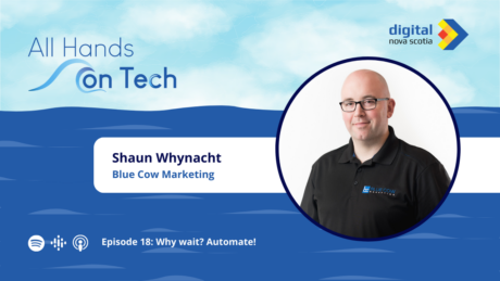 Blue Cow Marketing helps clients get their time back through marketing automation