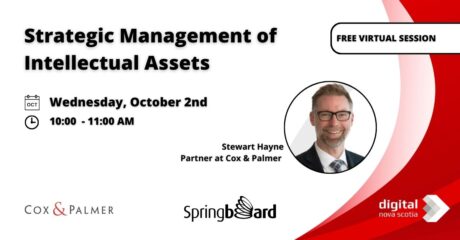 Strategic Management of Intellectual Assets