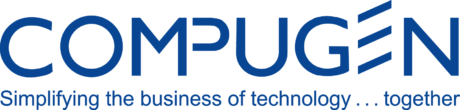 Senior IT and Cybersecurity Consultant