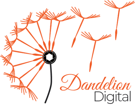 Dandelion Digital | Photography